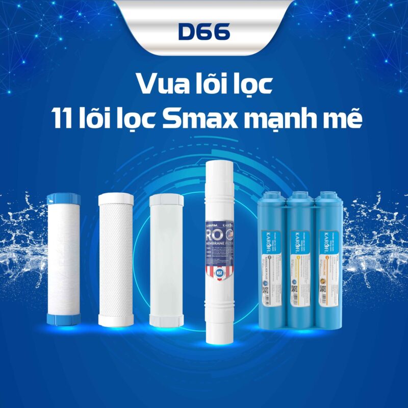 d66- vua lõi lọc